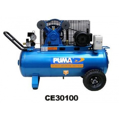 ce30100